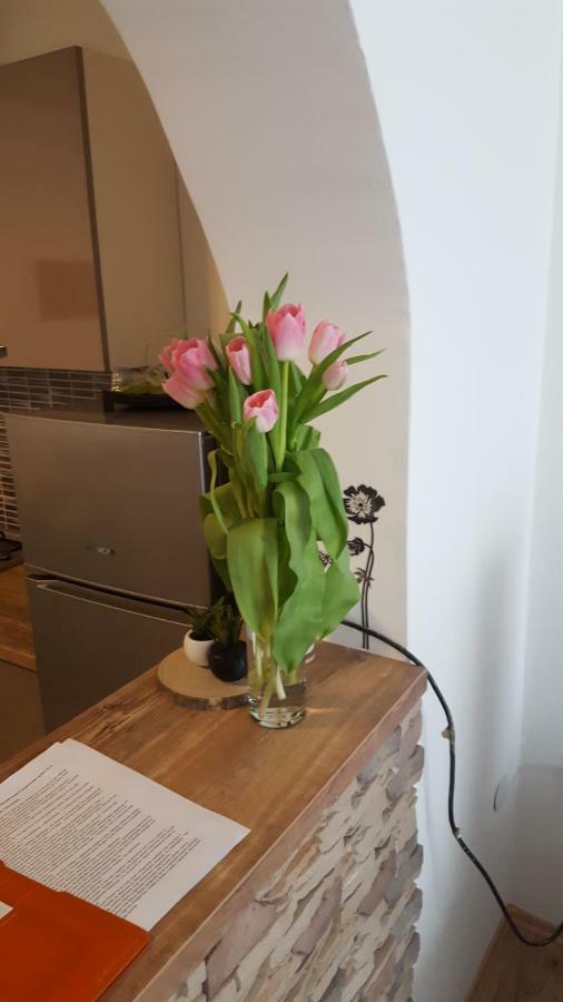 Apartman Tara 자그레브 외부 사진